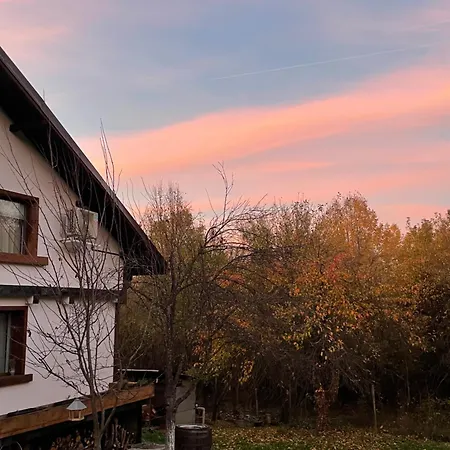 Holiday home клонката